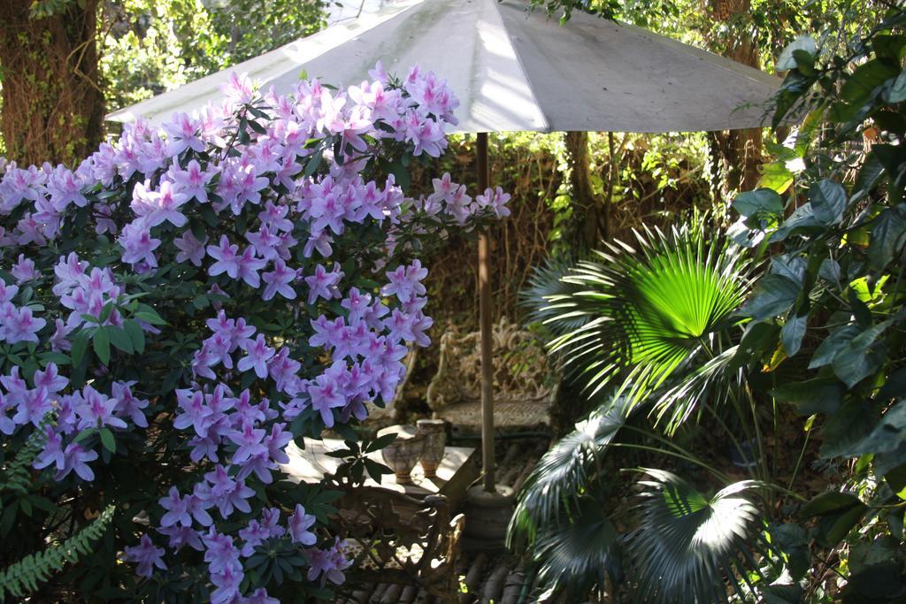 Bed and Breakfast La Casona De Grace Olivos Zewnętrze zdjęcie