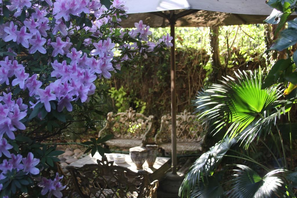 Bed and Breakfast La Casona De Grace Olivos Zewnętrze zdjęcie