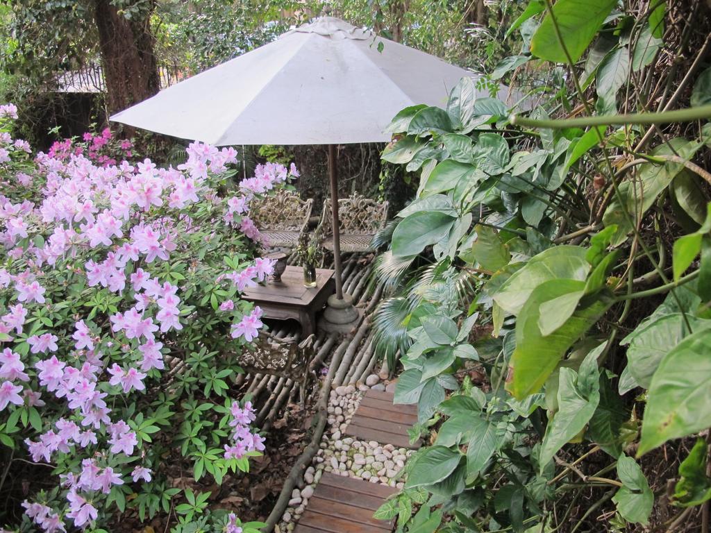 Bed and Breakfast La Casona De Grace Olivos Zewnętrze zdjęcie